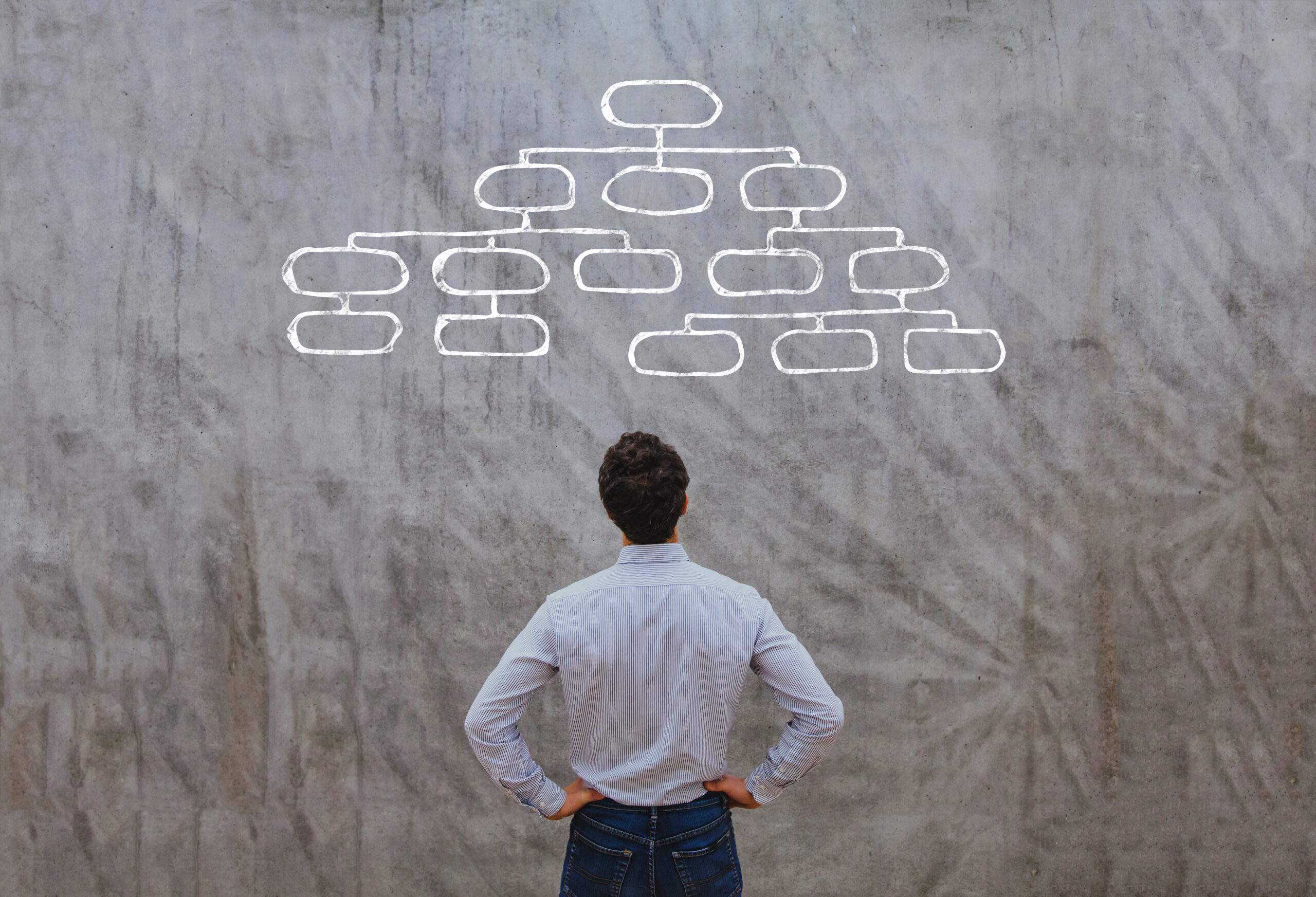 A man standing in front of a wall with a flowchart drawn on it.